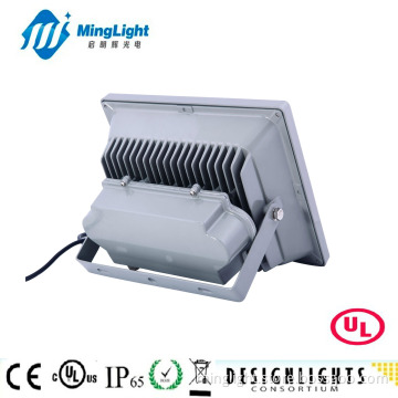 High Power LED Projector, LED Lamp for Refrigerator, Japanese Garden Lights